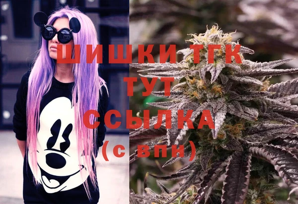 spice Абаза