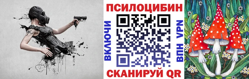 Галлюциногенные грибы мицелий  продажа наркотиков  Дмитровск 